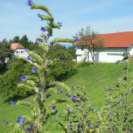 Ruheoase Lex - Vorm Derdiedaswohnen - Der Bauernhof * Leutschach