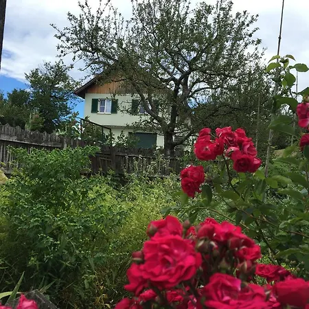 Apartment Ruheoase Lex - Vorm Derdiedaswohnen - Der Bauernhof Leutschach